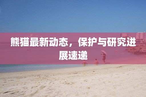 熊猫最新动态，保护与研究进展速递