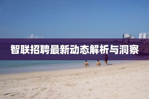 智联招聘最新动态解析与洞察