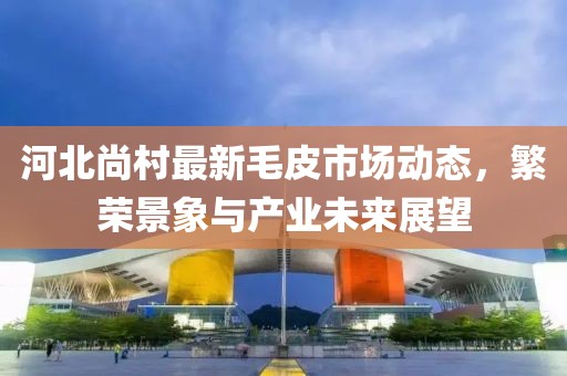 河北尚村最新毛皮市场动态，繁荣景象与产业未来展望