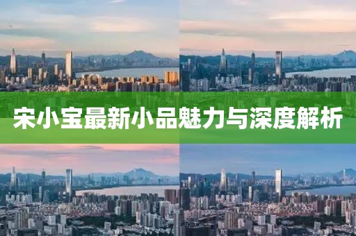 宋小宝最新小品魅力与深度解析