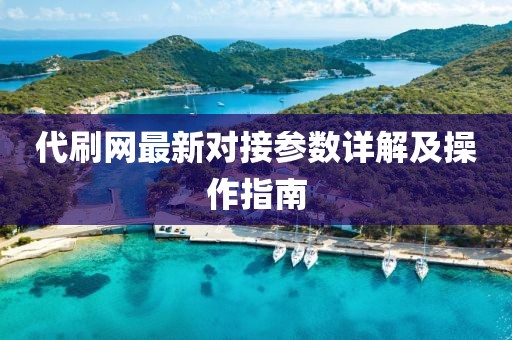 代刷网最新对接参数详解及操作指南