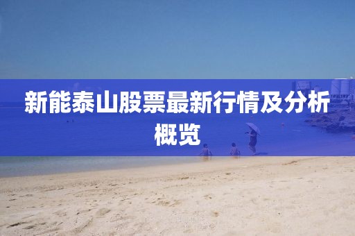 新能泰山股票最新行情及分析概览