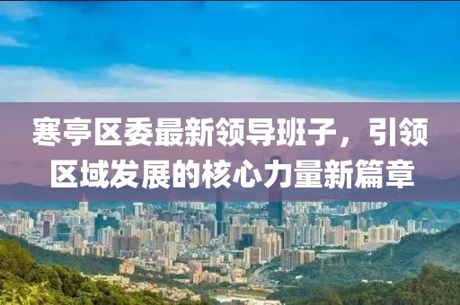 寒亭区委最新领导班子，引领区域发展的核心力量新篇章