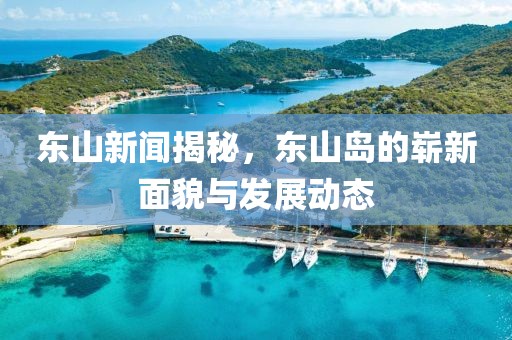 东山新闻揭秘，东山岛的崭新面貌与发展动态