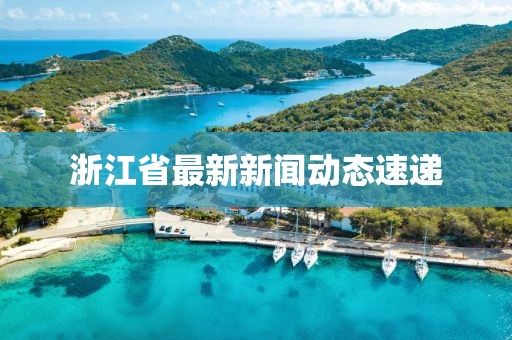 浙江省最新新闻动态速递