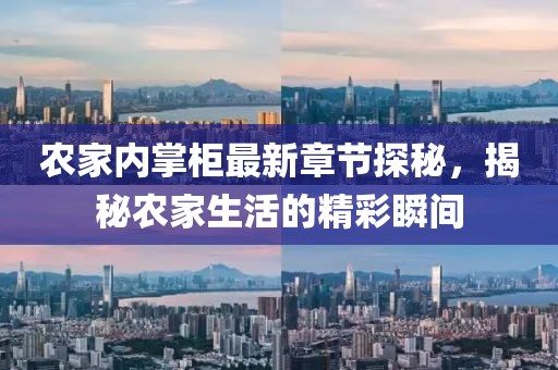 农家内掌柜最新章节探秘，揭秘农家生活的精彩瞬间