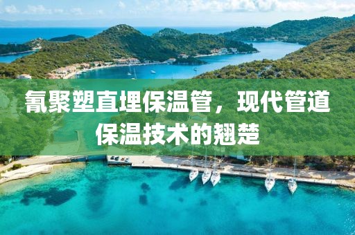 氰聚塑直埋保温管，现代管道保温技术的翘楚