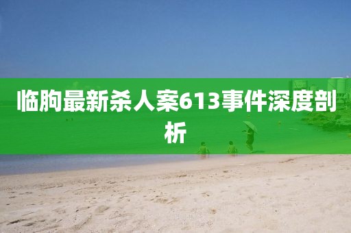 临朐最新杀人案613事件深度剖析