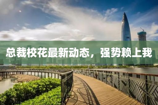 总裁校花最新动态，强势赖上我