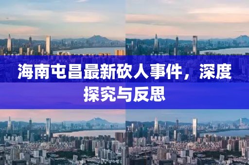 海南屯昌最新砍人事件，深度探究与反思