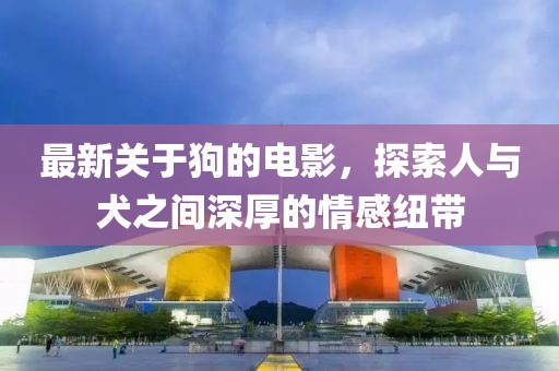 最新关于狗的电影，探索人与犬之间深厚的情感纽带
