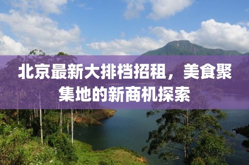 北京最新大排档招租，美食聚集地的新商机探索