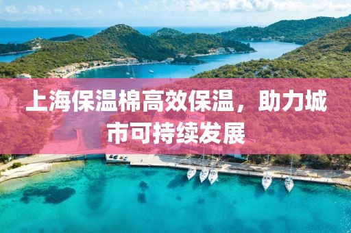 上海保温棉高效保温，助力城市可持续发展