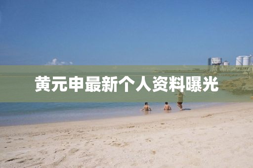 黄元申最新个人资料曝光