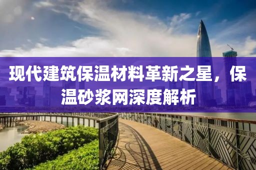 现代建筑保温材料革新之星，保温砂浆网深度解析