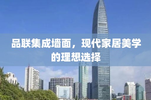 品联集成墙面，现代家居美学的理想选择