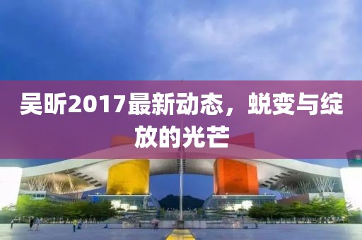 吴昕2017最新动态，蜕变与绽放的光芒