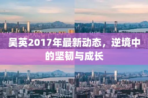 吴英2017年最新动态，逆境中的坚韧与成长
