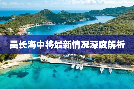 吴长海中将最新情况深度解析