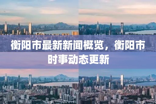 衡阳市最新新闻概览，衡阳市时事动态更新