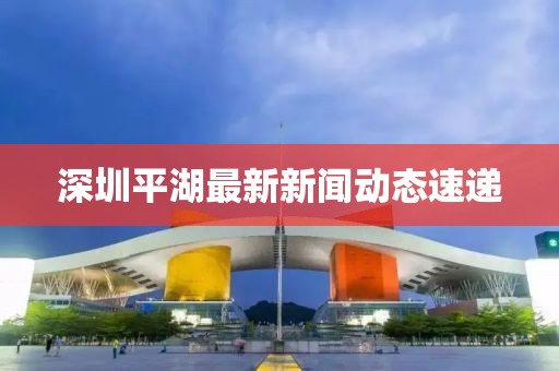 深圳平湖最新新闻动态速递