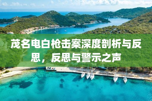 茂名电白枪击案深度剖析与反思，反思与警示之声