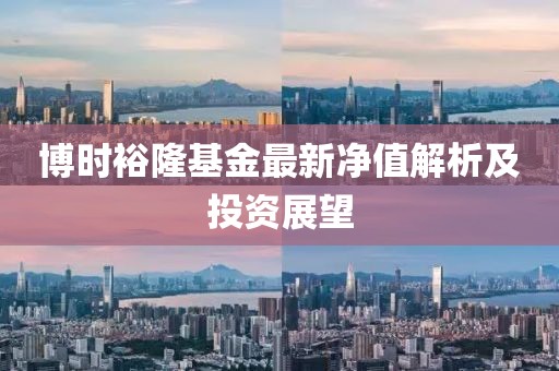 博时裕隆基金最新净值解析及投资展望