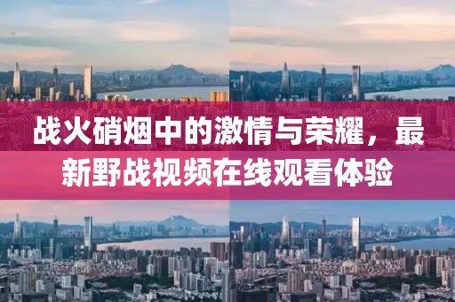 战火硝烟中的激情与荣耀，最新野战视频在线观看体验