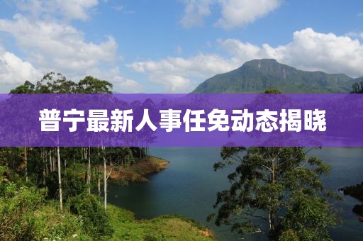 普宁最新人事任免动态揭晓