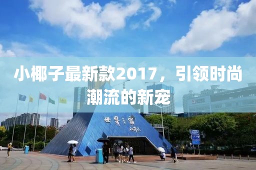 小椰子最新款2017，引领时尚潮流的新宠