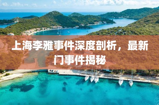 上海李雅事件深度剖析，最新门事件揭秘