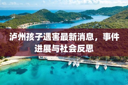 泸州孩子遇害最新消息，事件进展与社会反思