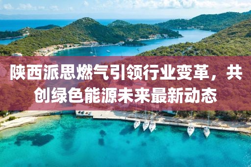 陕西派思燃气引领行业变革，共创绿色能源未来最新动态