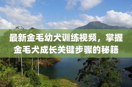最新金毛幼犬训练视频，掌握金毛犬成长关键步骤的秘籍