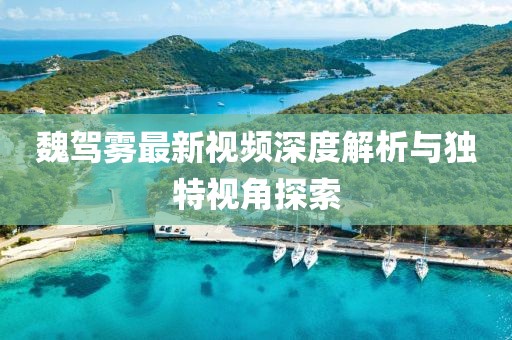 魏驾雾最新视频深度解析与独特视角探索