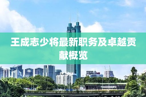 王成志少将最新职务及卓越贡献概览