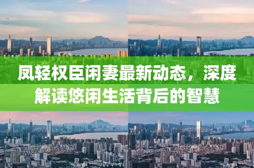 凤轻权臣闲妻最新动态，深度解读悠闲生活背后的智慧