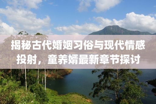 揭秘古代婚姻习俗与现代情感投射，童养婿最新章节探讨