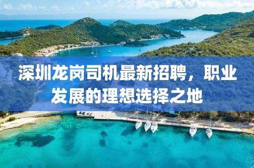 深圳龙岗司机最新招聘，职业发展的理想选择之地