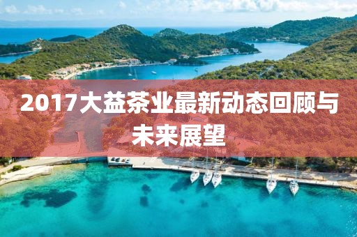 2017大益茶业最新动态回顾与未来展望