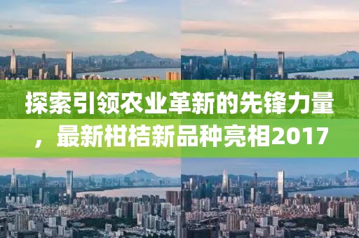 2025年6月26日
