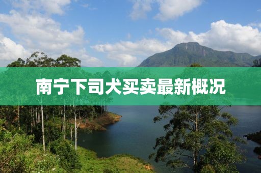 南宁下司犬买卖最新概况