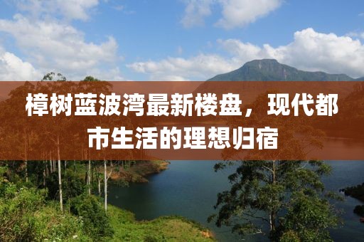 樟树蓝波湾最新楼盘，现代都市生活的理想归宿
