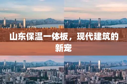 山东保温一体板，现代建筑的新宠