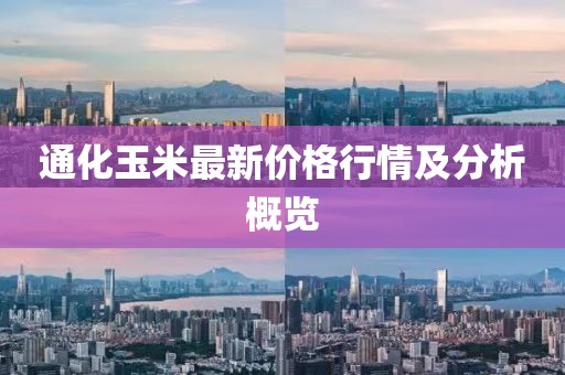 通化玉米最新价格行情及分析概览