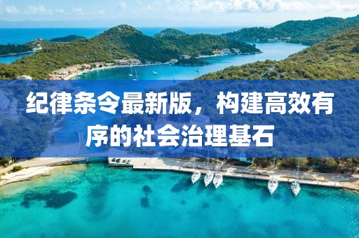 纪律条令最新版，构建高效有序的社会治理基石