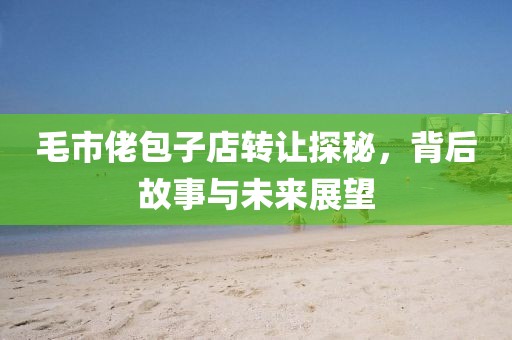 毛市佬包子店转让探秘，背后故事与未来展望