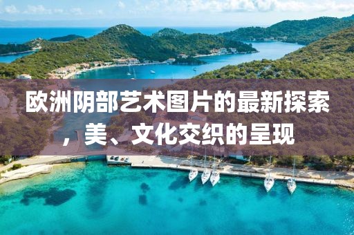 欧洲阴部艺术图片的最新探索，美、文化交织的呈现