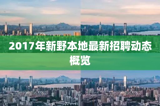 2017年新野本地最新招聘动态概览