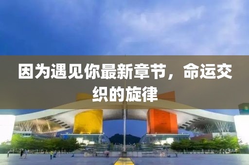 因为遇见你最新章节，命运交织的旋律